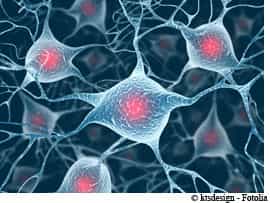 Les neurones du cerveau, lorsqu'ils sont lésés, sont isolés par un tissu cicatriciel, qui demeure en place et empêche la reconstitution des liaisons nerveuses. © ktsdesign/Fotolia