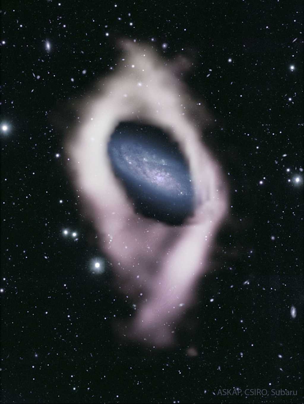 Les données d’un radiotélescope ont dévoilé que la galaxie NGC 4632 est entourée d’un immense anneau d’hydrogène. © Jayanne English (U. Manitoba), Nathan Deg (Queen's University) &amp; WALLABY Survey, CSIRO/ASKAP, NAOJ/Subaru Telescope