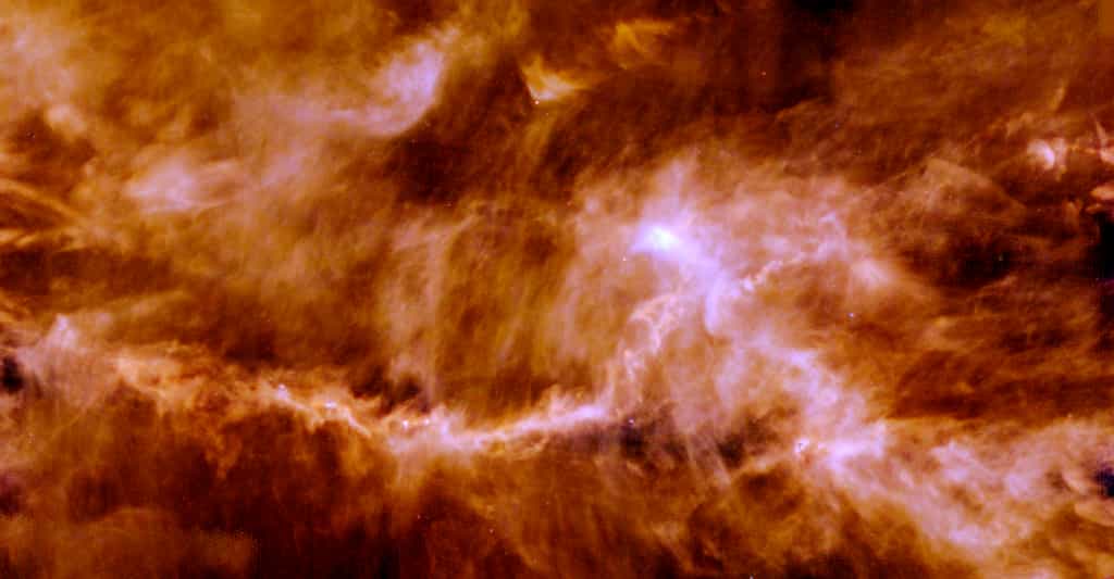 Sur cette image construite grâce au télescope spatial Herschel de l’Agence spatiale européenne (ESA), le nuage moléculaire du Taureau que les chercheurs de l’université de l’Arizona (États-Unis) ont étudié à la recherche de molécules prébiotiques. © ESA/Herschel/PACS, SPIRE/Gould Belt survey Key Programme/Palmeirim et al. 2013