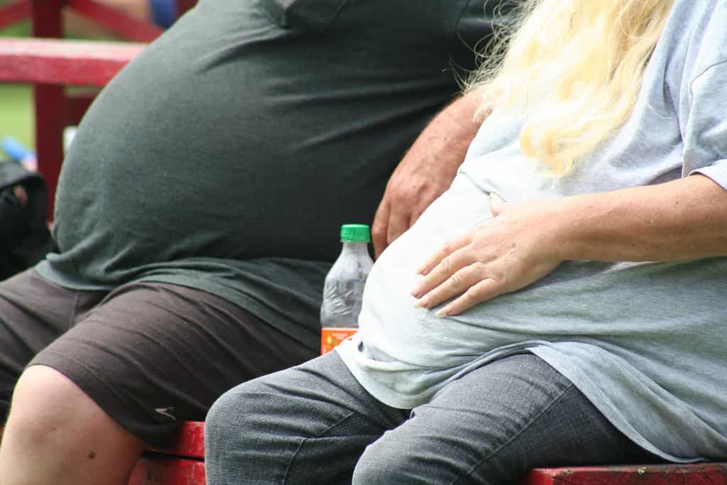 Si certaines personnes obèses ont du mal à réguler leur appétit et à manger uniquement ce dont leur corps a besoin, c'est que leur système immunitaire piège l'hormone de la faim et prolonge son action. © Tobyotter, Flickr, cc by 2.0