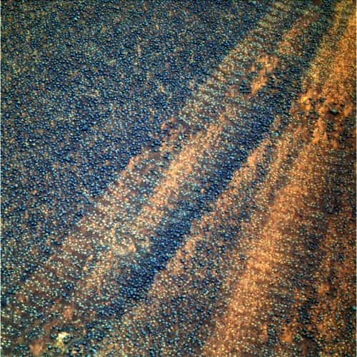 Premiers tours de roue d'Opportunity après la tempête. Le sol a retrouvé ses couleurs ! Crédit NASA - Traitement Futura-Sciences.