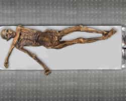 La momie d'Ötzi, aussi appelé l'Homme de glace tyrolien, est conservée dans une chambre réfrigérée spéciale au musée de Bozen-Bolzano en Italie. © Keller et al. 2012, Nature Communication