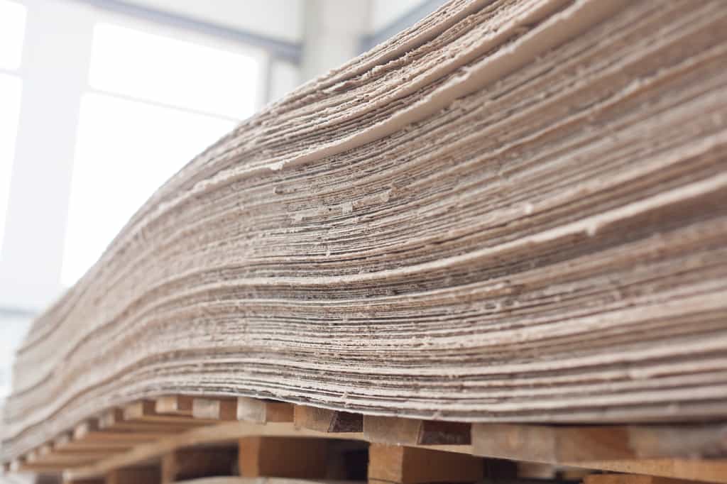 Même si elle perd en qualité au cours du processus, une feuille de papier peut être recyclée une dizaine de fois. © aerogondo2, Shutterstock