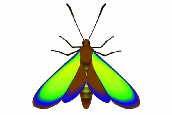 Un papillon fossilisé vieux de 47 millions d'années a retrouvé ses couleurs. &copy; McNamara et al., 2011 - PLoS Biology