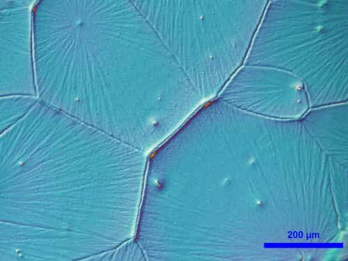La pérovskite est un minéral découvert dans les montagnes de l’Oural. Elle pourrait améliorer les rendements des cellules photovoltaïques. © vvoe, Shutterstock