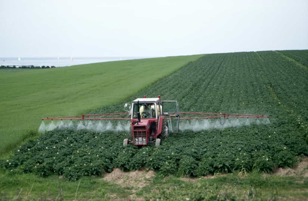 Environ un millier de substances actives de pesticides ont déjà été mises sur le marché en France. Plusieurs ont été interdites, d’autres sont encore utilisées actuellement. © tpmartins, Flickr, CC by-nc-sa 2.0