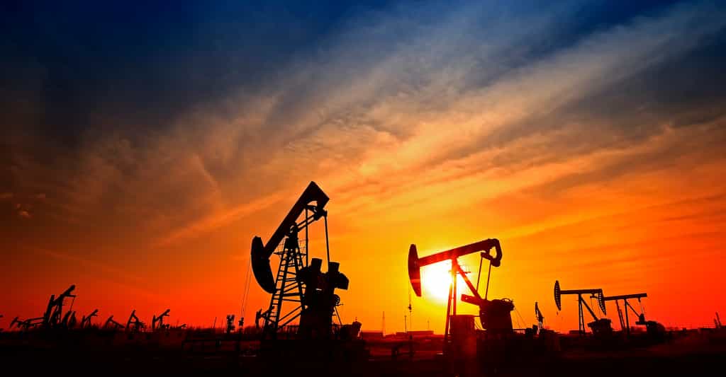 En moyenne, 494.000 barils de pétrole ont été produits entre janvier et novembre 2021 en Équateur. © pdm, Adobe Stock
