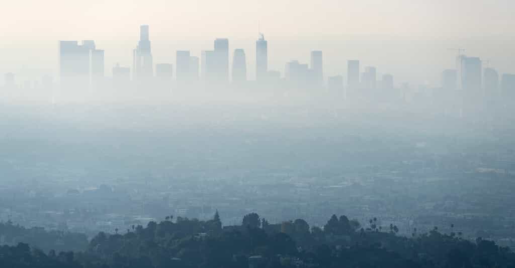 Dans le monde, la pollution de l’air fait perdre à chaque être humain environ 2,2 années d’espérance de vie. © trekandphoto, Adobe Stock