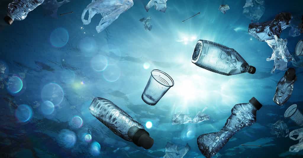 Les déchets plastiques qui flottent dans les eaux de la planète finissent par se retrouver sous forme de microplastiques dans les fonds marins. © Romolo Tavani, Adobe Stock