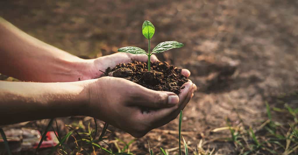 Pour Bruno David, la « biodiversité invisible » est peut-être la plus importante à préserver. Ainsi les sols, notamment, jouent un rôle central dans le système terre. © Krailas, Adobe Stock