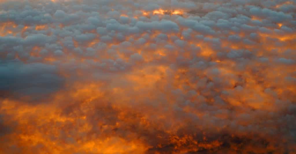La violence du Bootleg Fire (Oregon, États-Unis) l’amène à générer des pyrocumulus. © nd700, Adobe Stock