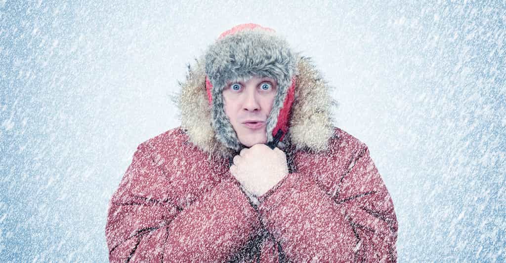 Les taux de rétinol augmentent dans notre sang lorsque nous sommes exposés au froid. © afxhome, Adobe Stock