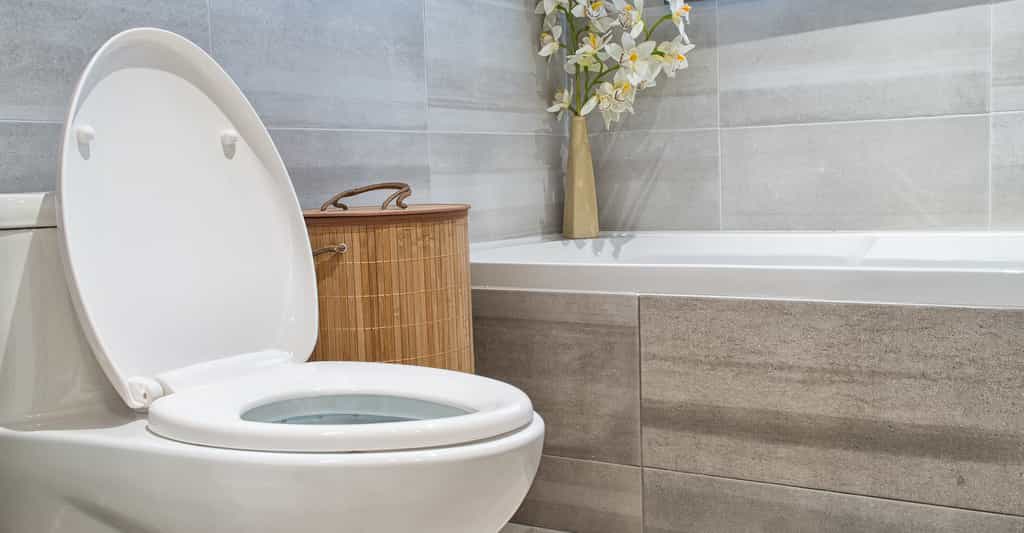 Des chercheurs de l’université de PennState (États-Unis) ont développé un matériau qui réduit drastiquement la quantité d’eau utile à nettoyer les toilettes. © DD Images, Adobe Stock