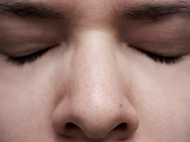 Le nez permet l’entrée de l’air, inspiré dans le système respiratoire. © Alessandra Celauro, Flickr, CC by-nc 2.0