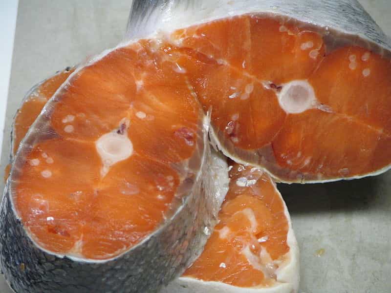 Le saumon d'élevage ne serait pas moins bon pour la santé que le poisson sauvage. © Flying Penguin, Wikimedia, domaine public