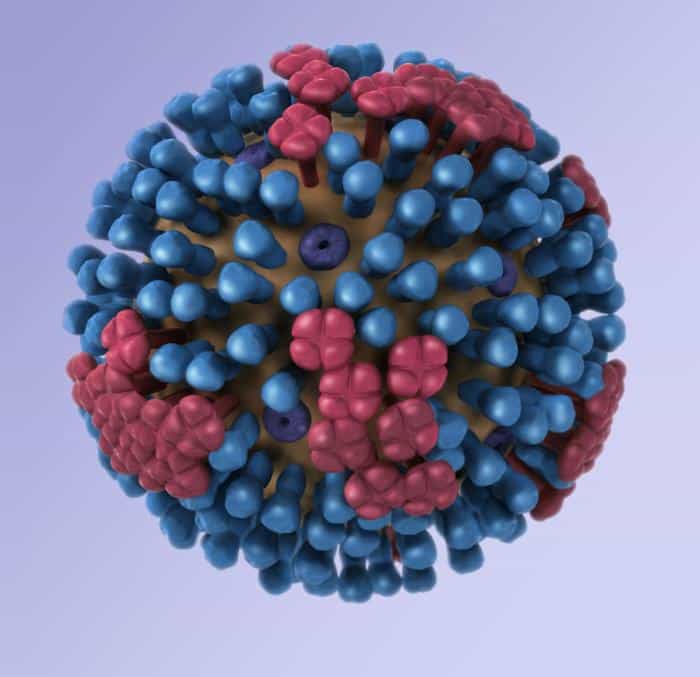 Cette image représente un virus typique de la grippe. Le virus H5N1, responsable de l'épidémie de grippe aviaire depuis 2003, a déjà causé la mort de 356 personnes sur les 603 cas avérés. © Douglas Jordan, CDC, DP