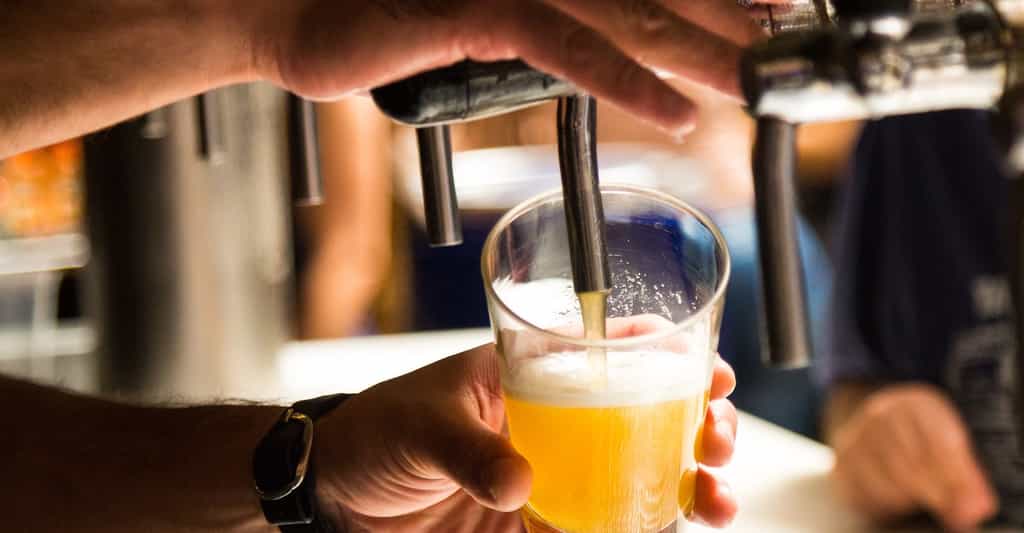 Des chercheurs ont étudié l’ADN des levures utilisées par les brasseurs. Ils ont découvert que le goût unique de certaines bières belges leur venait de levures hybrides. © spooky_kid, Pixabay License