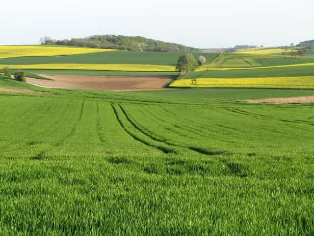 En 2009, environ 25.000 tonnes d'herbicides ont été utilisées en France, dont 90 % dans l'agriculture.&nbsp;© Buquet,&nbsp;shutterstock.com