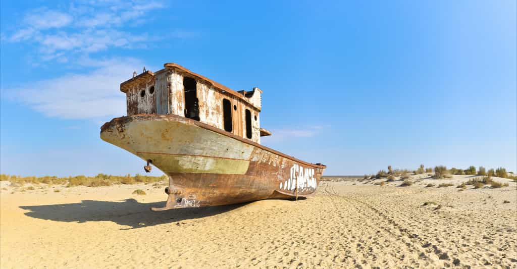 L'évolution de la mer d'Aral, située en Asie centrale, est inquiétante. Si la partie nord s'est remplie suite à la construction d'une digue, au sud, la mer est quant à elle asséchée. © alsem, Shutterstock