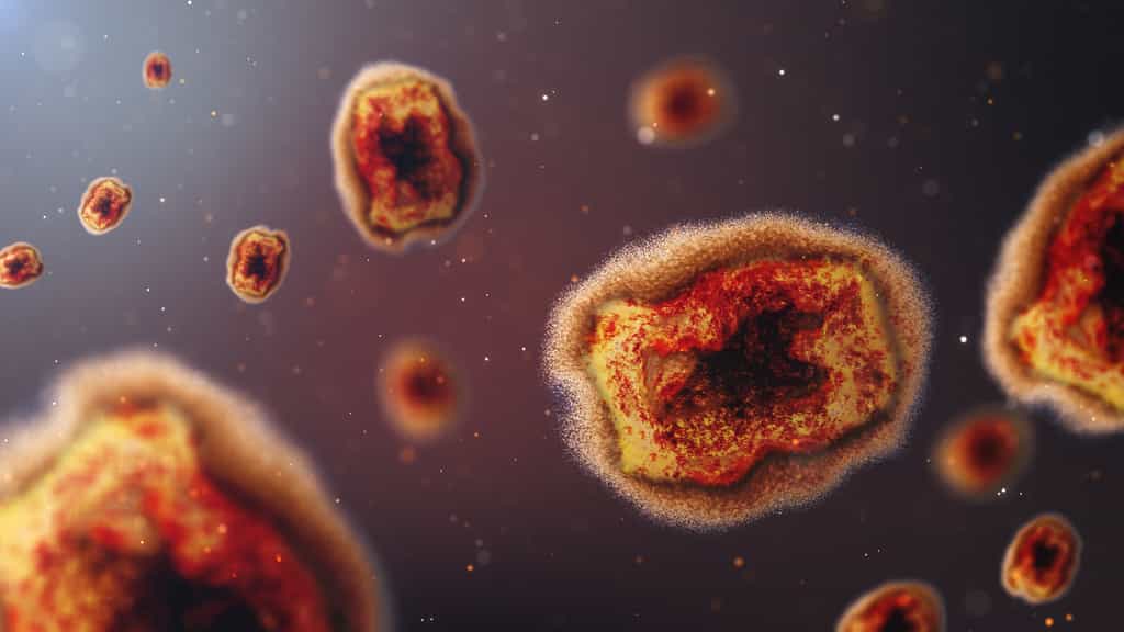 Une forme particulièrement grave de la variole du singe, aussi dénommée « mpox », a été repérée chez des patients infectés par le VIH. © Kontekbrothers, Getty Images