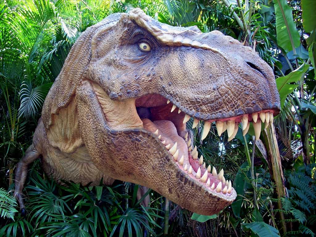 Le célèbre film (et livre) Jurassic Park propose de ramener des dinosaures, comme ce Tyrannosaurus, à la vie. Grâce à des images de synthèse et des robots, les reptiles géants semblaient plus vrais que nature. © Scott Kinmartin, Fotopédia, cc by 2.0
