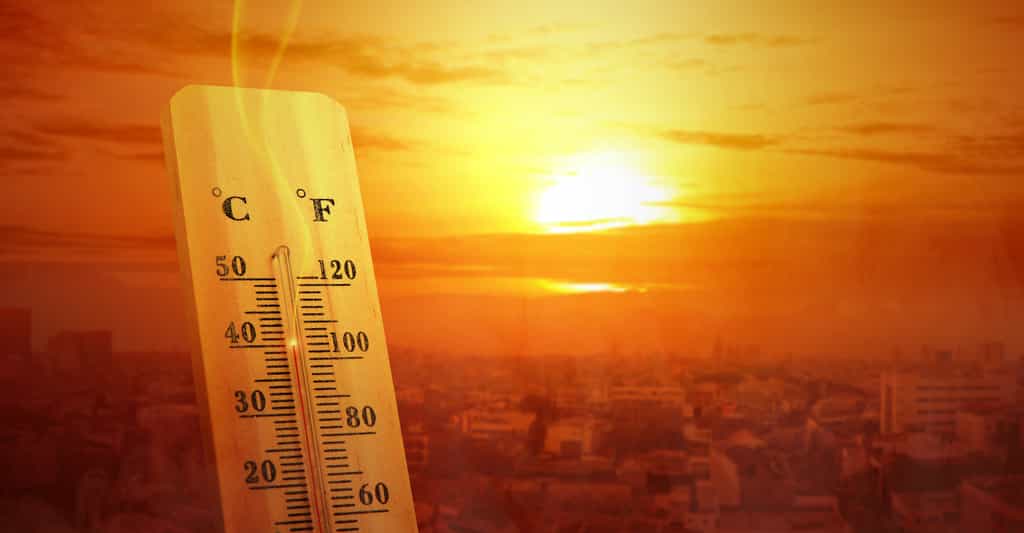 En France, une température de plus de 40 °C est en train de devenir presque normale. Ailleurs dans le monde, on atteint assez régulièrement les 50 °C. © Leo Lintang Adobe Stock