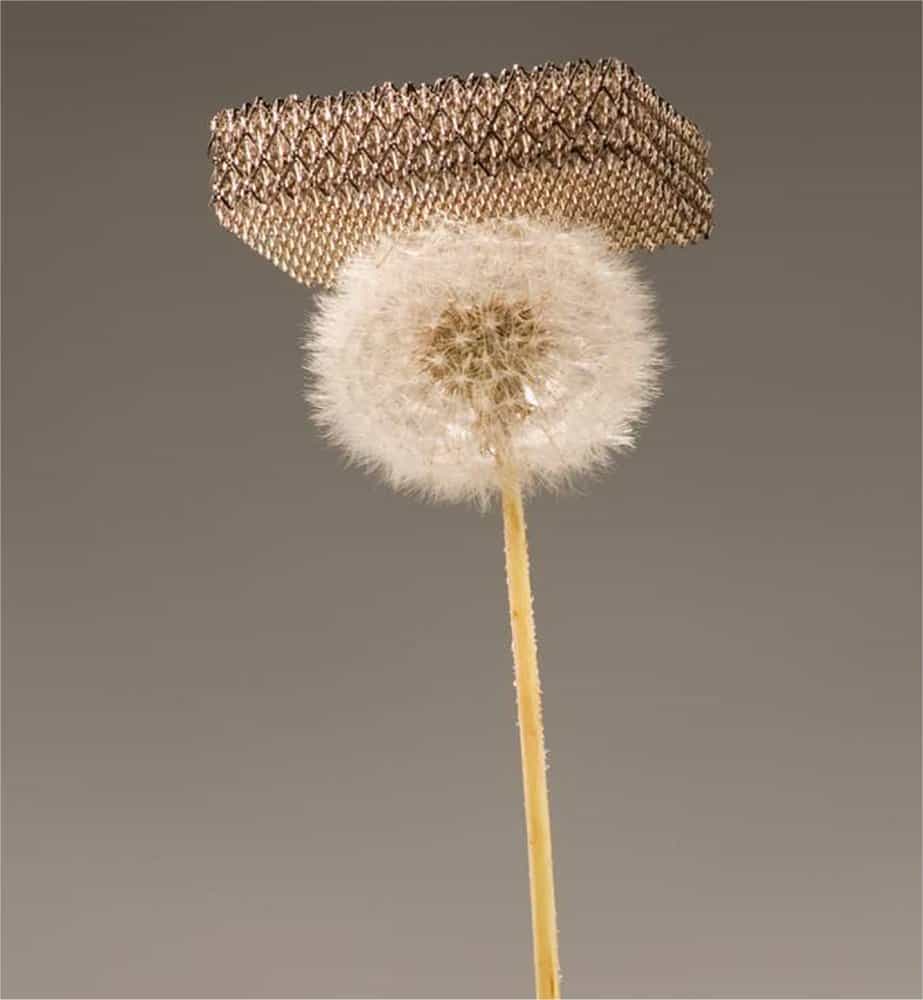 Une image étonnante réalisée sans trucage : un morceau de métal porté par une fleur de pissenlit. © Dan Little, HRL Laboratories LLC