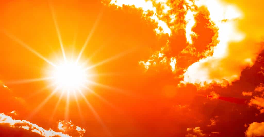 Selon des chercheurs de l’ARC Centre of excellence for climate extremes (Australie), depuis 1950, le monde a connu deux journées de vague de chaleur supplémentaires par décennie. © John Smith, Adobe Stock