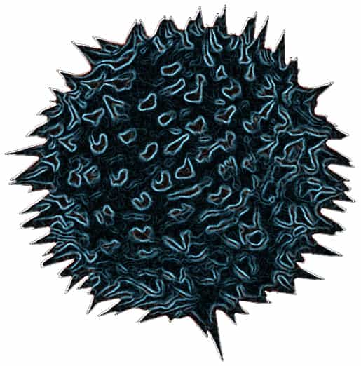 La grippe A H1N1 a depuis 2003 fait plus de 335 victimes dans le monde. Si ce nombre est faible à côté des désastres causés par d'autres épidémies grippales, c'est parce que la transmission de l'Homme à l'animal est peu fréquente et surtout que la tranmission d'Homme à Homme est quasi inexistante. Mais lorsque l'infection se déclare, elle est mortelle dans 58 % des cas. © Hitthatswitch, Flickr, cc by nc sa 2.0