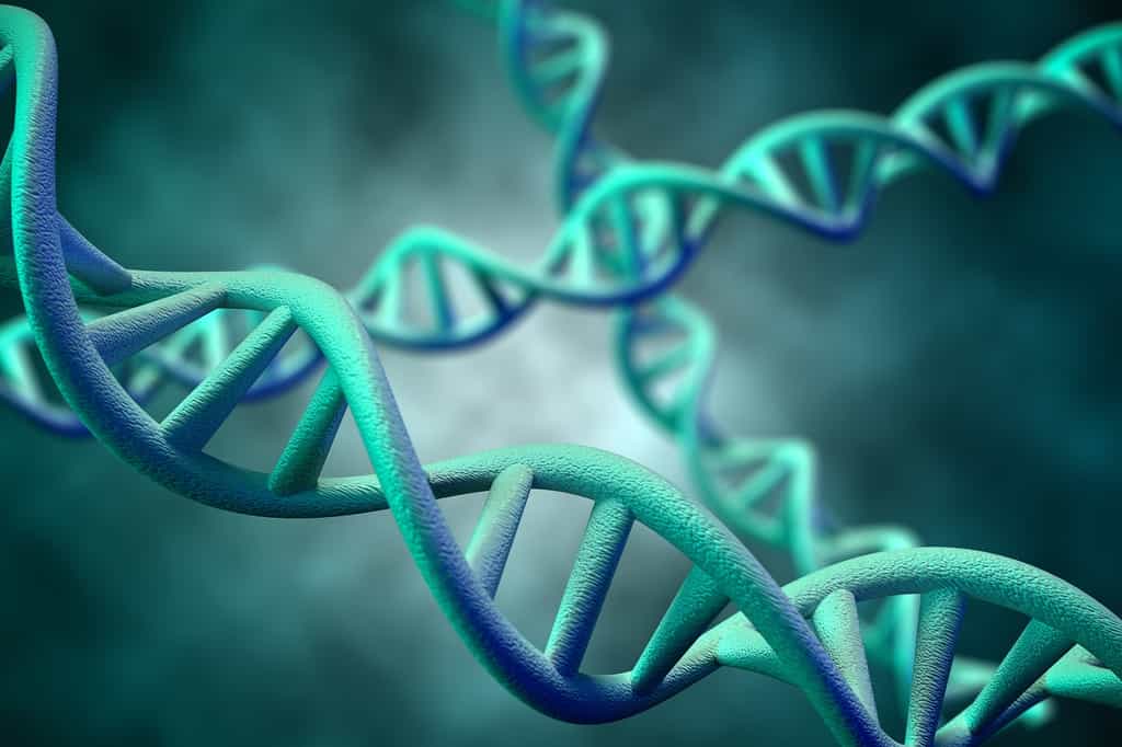 Les maladies héréditaires sont dues à la mutation d'un gène porté par la molécule d'ADN. © Supparsorn, Fotolia