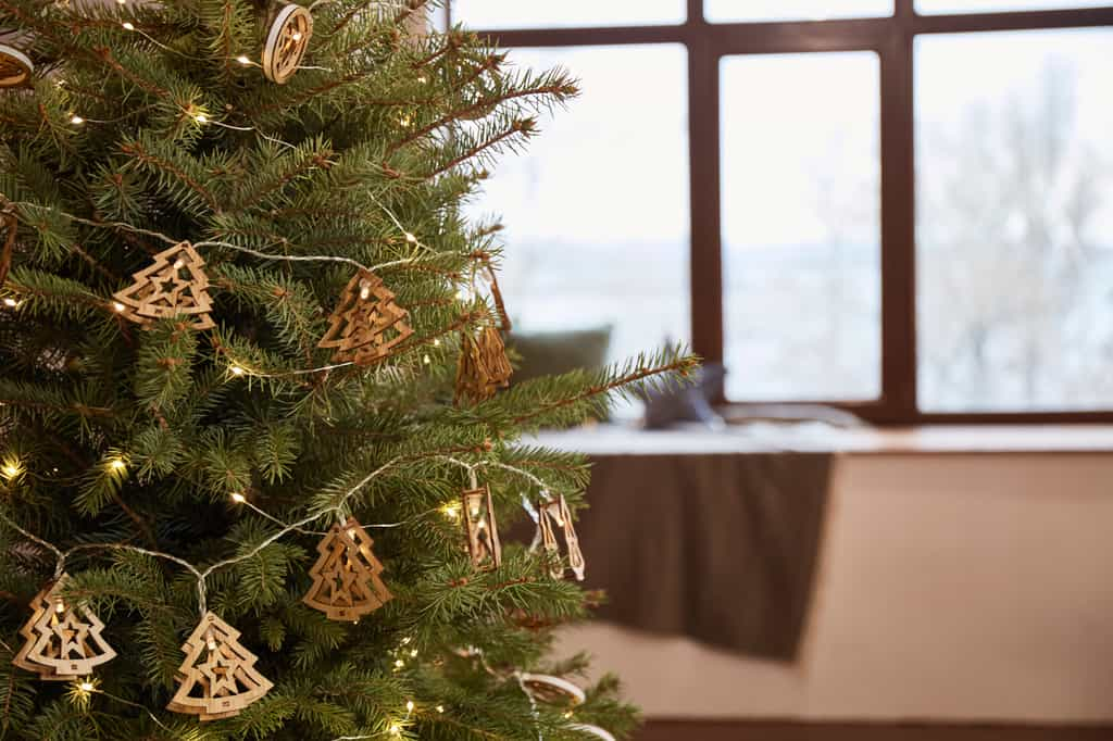 Quelles sont ces astuces qui permettent au sapin de Noël de conserver ses aiguilles plus longtemps ? © leravalera89, Adobe Stock