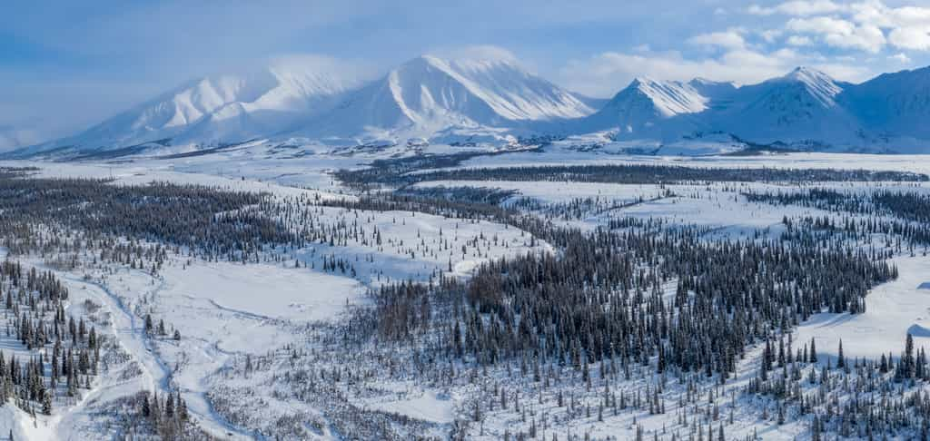 La région de Fairbanks est la plus froide d'Alaska. © Reagan, Adobe Stock