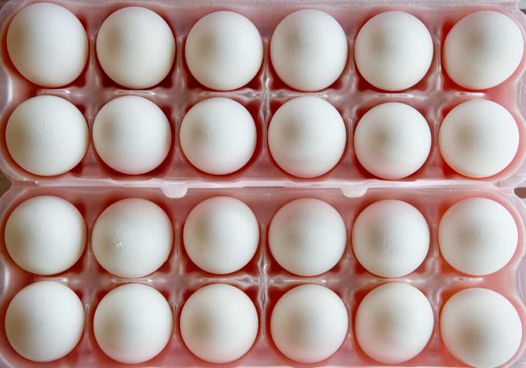 Voilà qui, d'une certaine façon, mettrait fin à la philosophique et scientifique question de savoir qui de l'œuf ou de la poule a été créé le premier ? © Saul Loeb, AFP Photo
