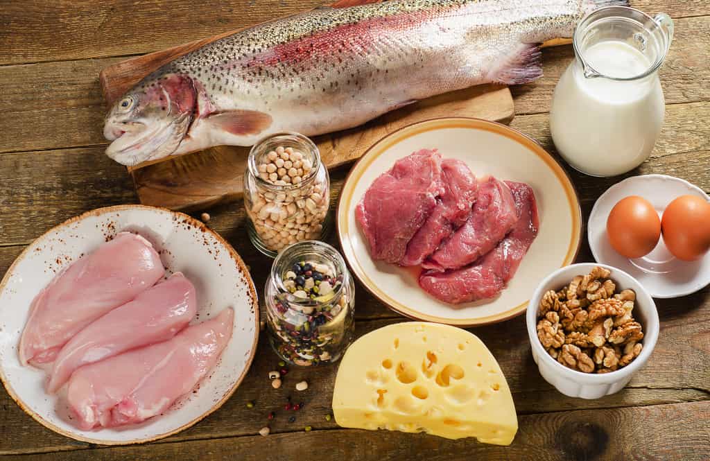 Quels aliments contiennent le plus de protéines ? Le fromage, la viande rouge, la viande blanche, le poisson, les légumineuses ? © bit24, Fotolia