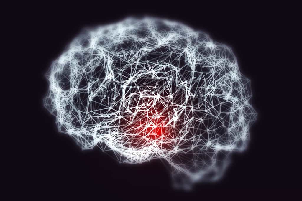 Dans la maladie d’Alzheimer, des plaques de la protéine amyloïde bêta s’accumulent dans le cerveau et la protéine tau peut former des enchevêtrements toxiques pour les neurones. © Kateryna_Kon, Fotolia