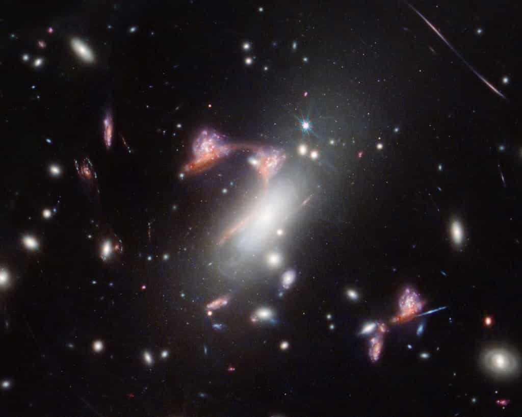 L’amas de galaxies MACS-J0417.5-1154 est si massif qu’il déforme la structure de l’espace-temps et déforme l’apparence des galaxies situées derrière lui, un effet connu sous le nom de lentille gravitationnelle. Ce phénomène naturel agrandit les galaxies lointaines et peut également les faire apparaître plusieurs fois sur une image, comme l’a observé le télescope spatial James-Webb de la Nasa. Ici, deux galaxies lointaines en interaction – une spirale vue de face et une galaxie rouge poussiéreuse vue de côté – apparaissent plusieurs fois, traçant une forme familière dans le ciel. La formation active d’étoiles et la forme spirale remarquablement intacte de la galaxie vue de face indiquent que l’interaction de ces galaxies ne fait que commencer. © Nasa, ESA, CSA, STScI, Vicente Estrada-Carpenter (Saint Mary's University)