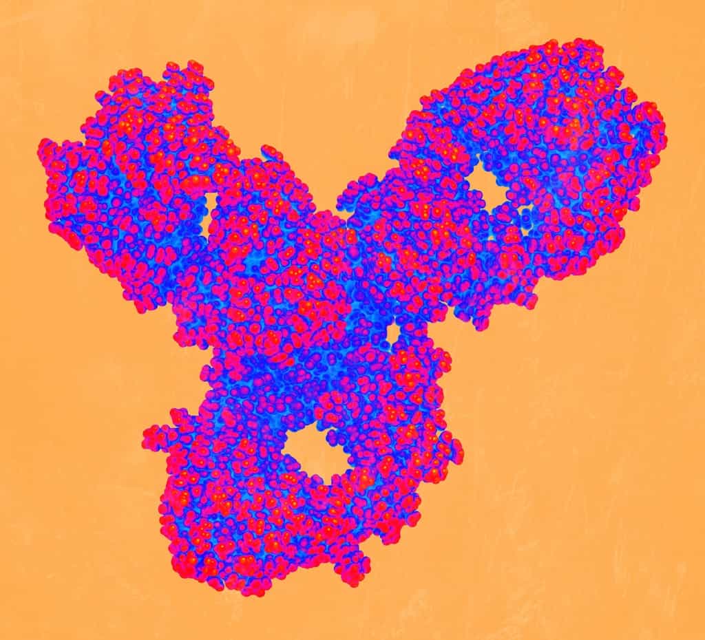 Vue d’artiste d’une surface fonctionnalisée munie d’anticorps anticancéreux (en forme de Y). L'immunothérapie, testée depuis 1893, représente certainement l'une des pistes d'avenir pour le traitement des cancers. © PNNL, Flickr, CC by-nc-sa 2.0
