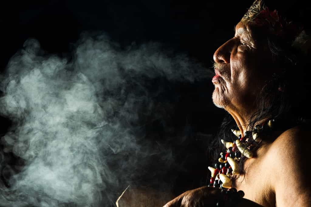 Le tabac est une substance psychoactive utilisée par l'Homme depuis plusieurs millénaires, notamment au cours de cérémonies religieuses. © Ammit, Adobe Stock