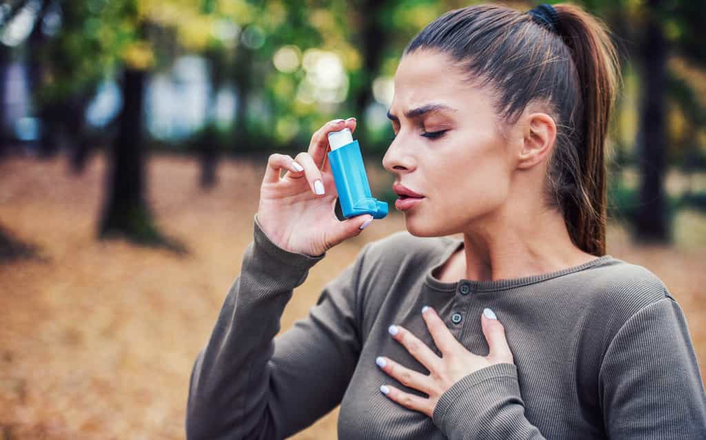 L'asthme de type allergique concerne la moitié des asthmatiques. © bobex73, Adobe Stock
