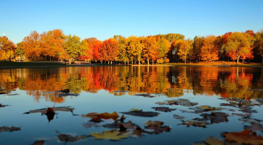 L'été indien au Canada est différent en France. © Alban, Adobe Stock