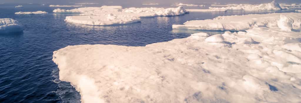 Le terme banquise désigne une couche de glace qui se forme sur la mer, ici en Atlantique Nord. © Erwin Barbé, fotolia