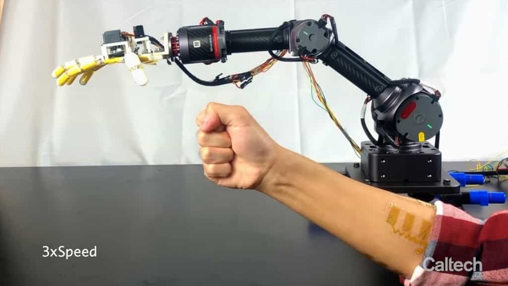 Ce bras robotique peut sentir les objets qu’il touche et transmettre l’information tactile à l’opérateur. © Caltech