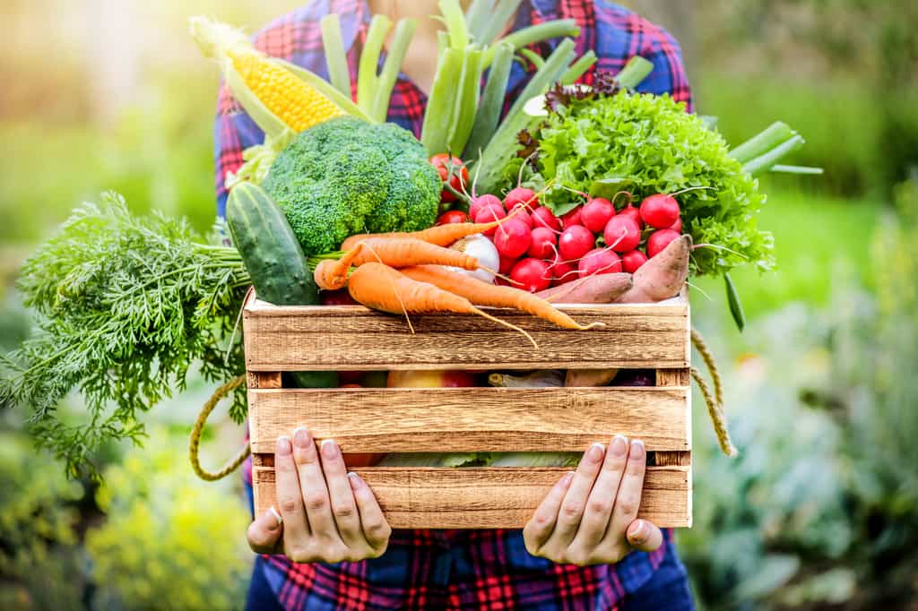 Près des deux tiers des fruits, légumes et céréales cultivés de façon « conventionnelle » contiennent des résidus de pesticides. © Milan, Adobe Stock