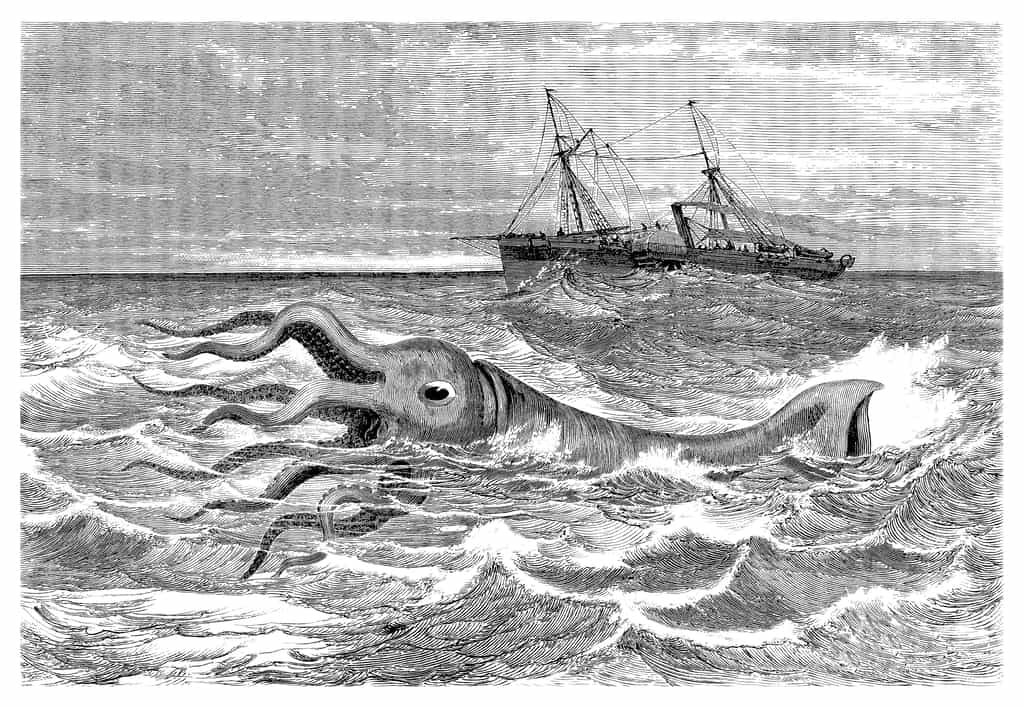 Le calamar géant est au cœur de plusieurs légendes de marins, notamment celle du Kraken. © Erica Guilane-Nachez, Adobe Stock