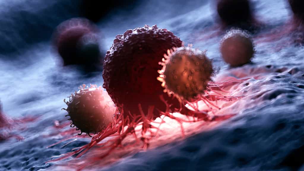 Les caractéristiques moléculaires des tumeurs sont plus importantes que leur emplacement. © SciePro, Adobe Stock