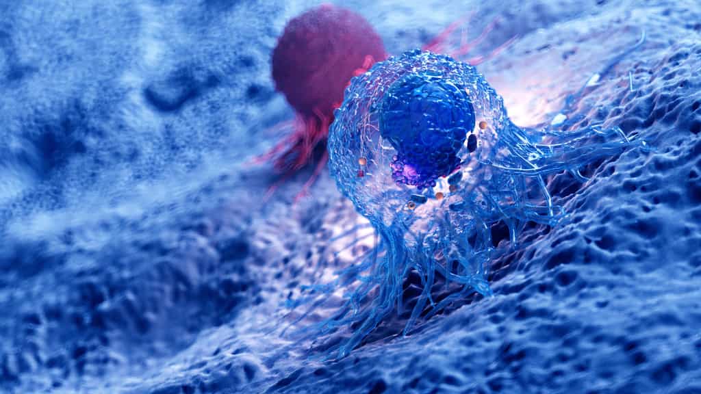 Un nouveau moyen de détruire les cellules cancéreuses, une source d'espoir. © SciePro, Adobe Stock