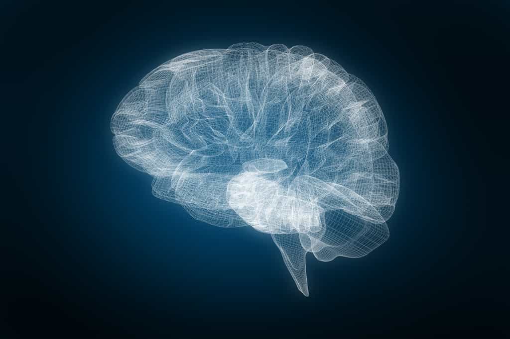Les chercheurs ont identifié 22 associations différentes entre exposition virale et risque de maladie neurodégénérative comme la maladie d'Alzheimer. © vectorfusionart, Adobe Stock