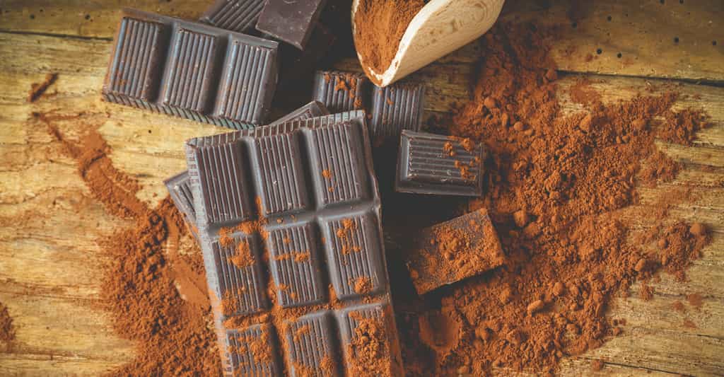 D'abord reconnu par le peuple maya, puis adopté en Europe comme breuvage, le chocolat est devenu une préparation raffinée, mais aussi grossièrement imitée par des procédés industriels pour faire face à une demande désormais planétaire. Retrouvez sa véritable histoire et sa vraie nature. © JaroPienza, Shutterstock