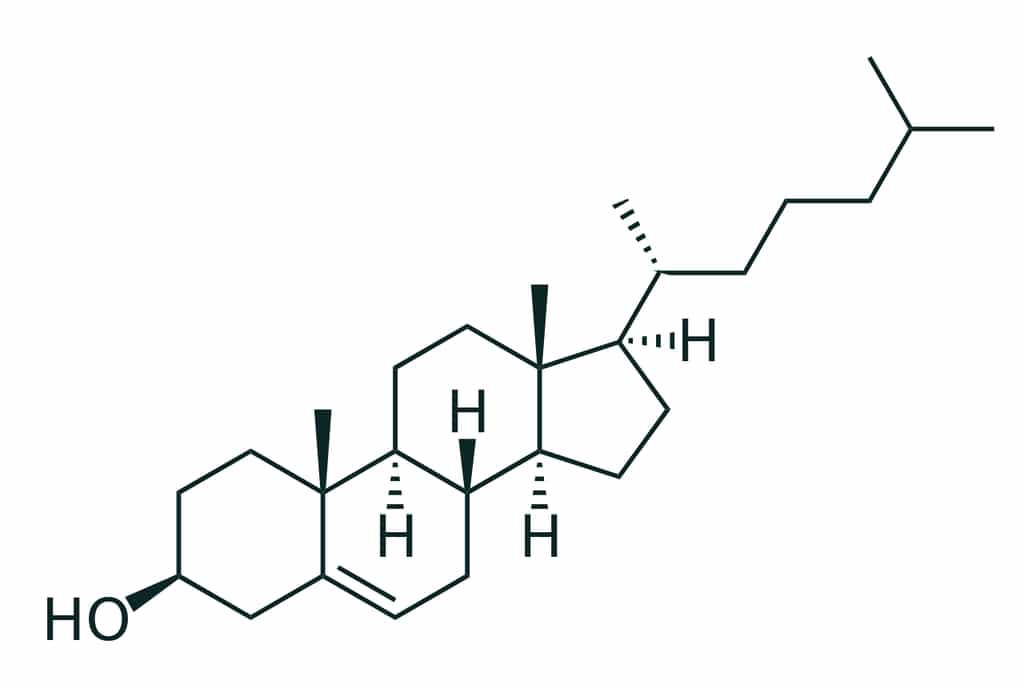 Représentation de Cram de la molécule de cholestérol. © Boris TM, Wikipédia, DP