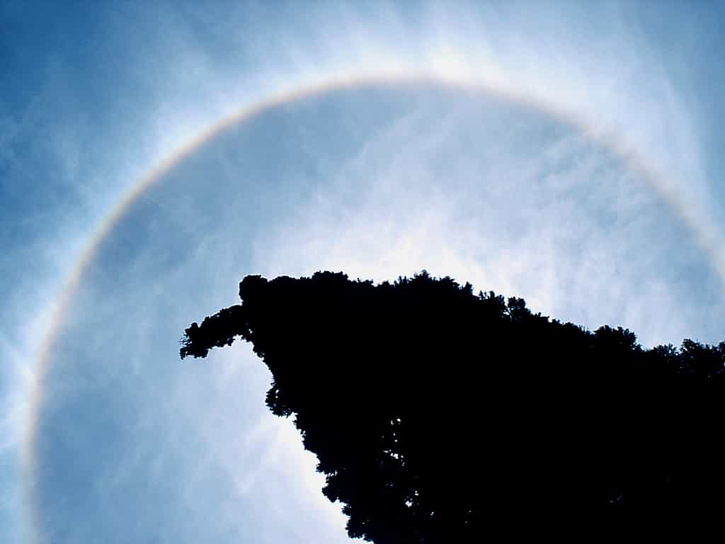 Les cirrostratus laissent souvent apparaître un halo lumineux. © Eduardo Marquetti, Wikipédia, CC by-sa 2.0